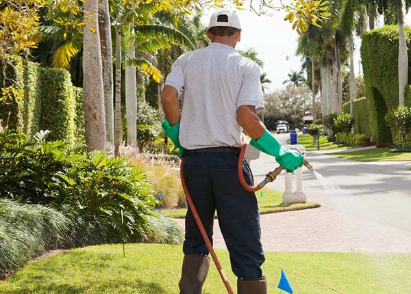 About Hyde Park MA Pest Control Pros